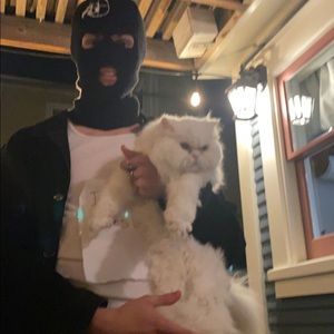 Meet your Posher, Patrick